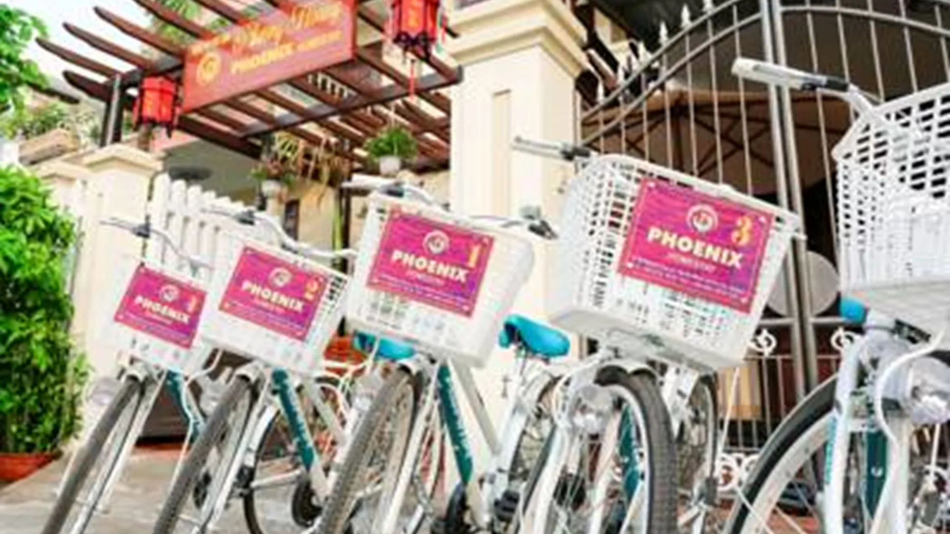 Phoenix Homestay Hoi An